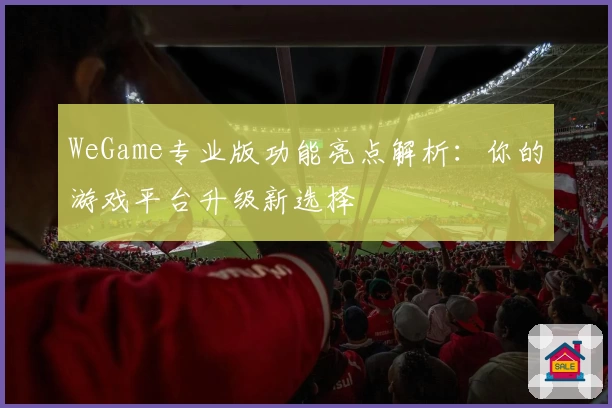 WeGame专业版功能亮点解析：你的游戏平台升级新选择