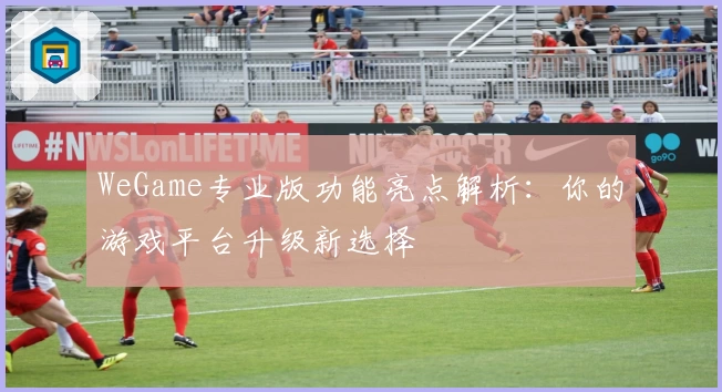 WeGame专业版功能亮点解析:你的游戏平台升级新选择
